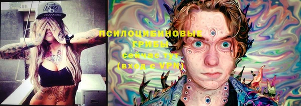 каннабис Богородицк