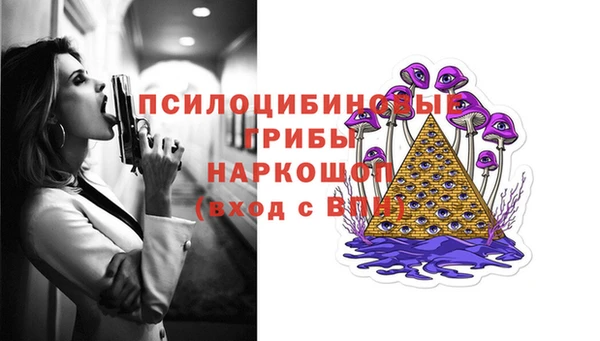 стафф Богородск