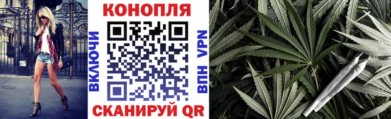 Конопля сатива  Цимлянск 